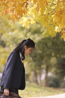佩洛西专机实时动态