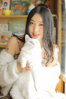 梧桐雨